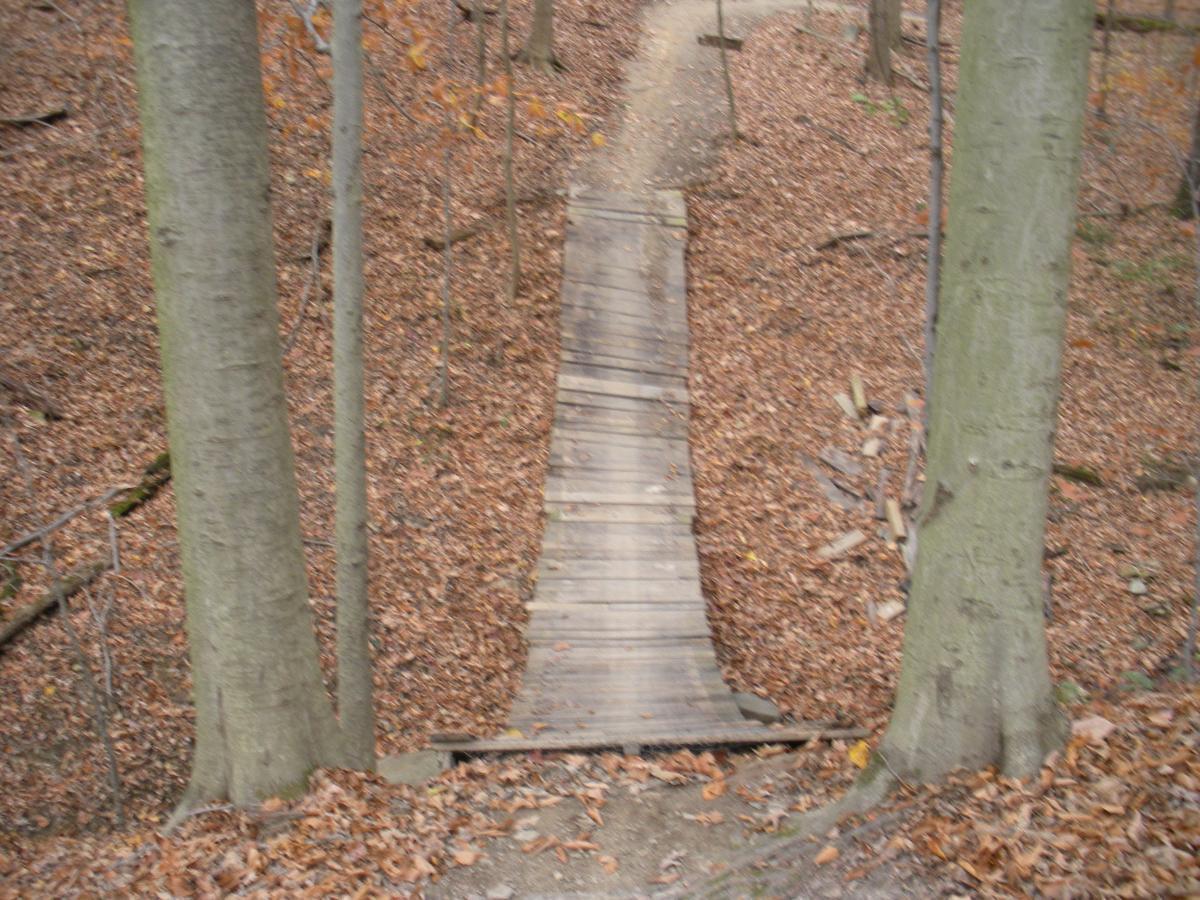 Alt text: A wooden bridge spans a path in a forest, surrounded by tall trees and a carpet of fallen leaves. The trail curves in the background, leading through the autumn landscape. Vultures Knob mountain bike trail.
