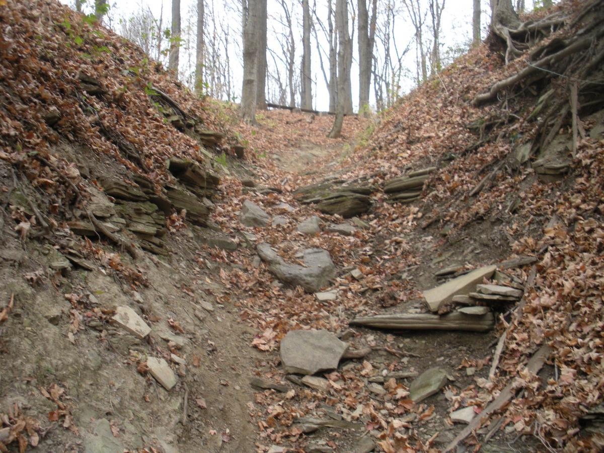 A narrow dirt path winding through a wooded area, lined with layers of rocky terrain and covered with autumn leaves. The pathway is flanked by steep earthy slopes on either side, showing exposed roots and stones, while tall trees stand in the background, indicating a tranquil natural setting. Vultures Knob mountain bike trail.