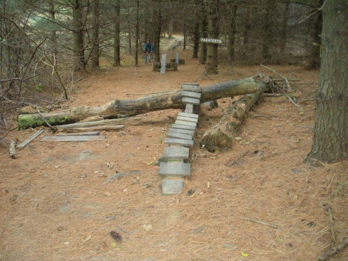 A dirt path in a forest covered with pine needles, featuring several fallen logs and a series of wooden planks arranged to create a balance beam. In the background, there is a wooden sign labeled "Parateets" and a person riding a bicycle. The surrounding trees are dense and evergreen. Vultures Knob mountain bike trail.