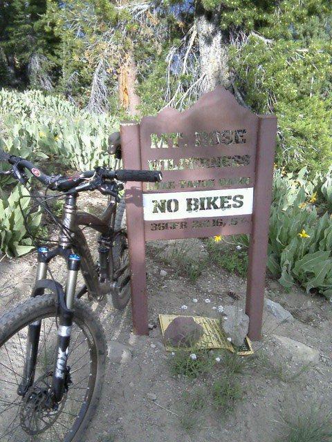 A mountain bike leaning against a weathered sign reading "Mt. Rose Wilderness Area No Bikes," surrounded by lush greenery and wildflowers in a forested area. Tahoe Rim Trail: Brockway to Watson Lake mountain bike trail.