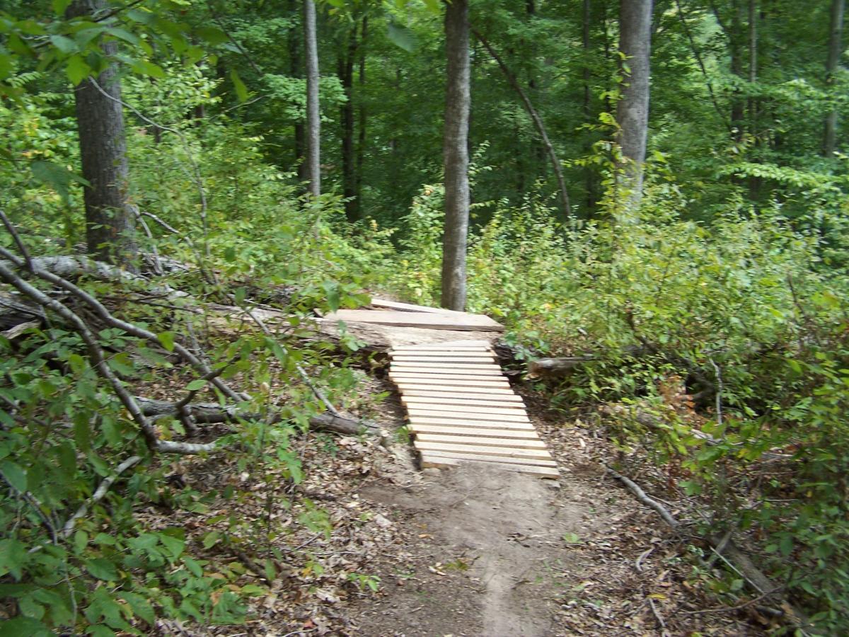 A wooden bridge made of planks crosses over a narrow pathway in a lush, green forest. Surrounding vegetation includes shrubs and trees, creating a natural, wooded environment. Rotary Park mountain bike trail.