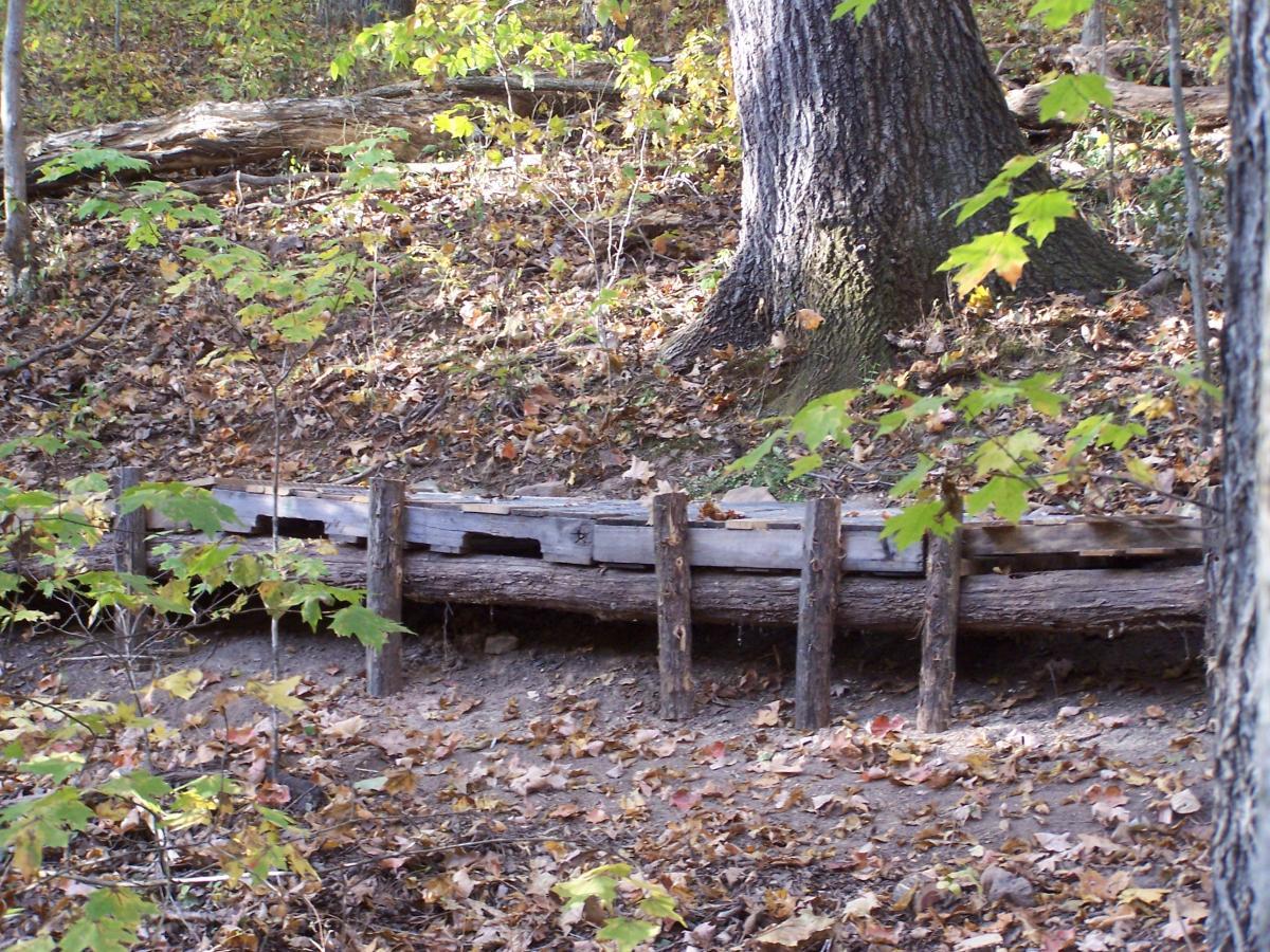 A wooden bridge made of logs and planks, situated in a forested area with fallen leaves and greenery surrounding it. The bridge is partially covered by leaves, and a large tree trunk is visible nearby, indicating a peaceful, natural setting. Rotary Park mountain bike trail.