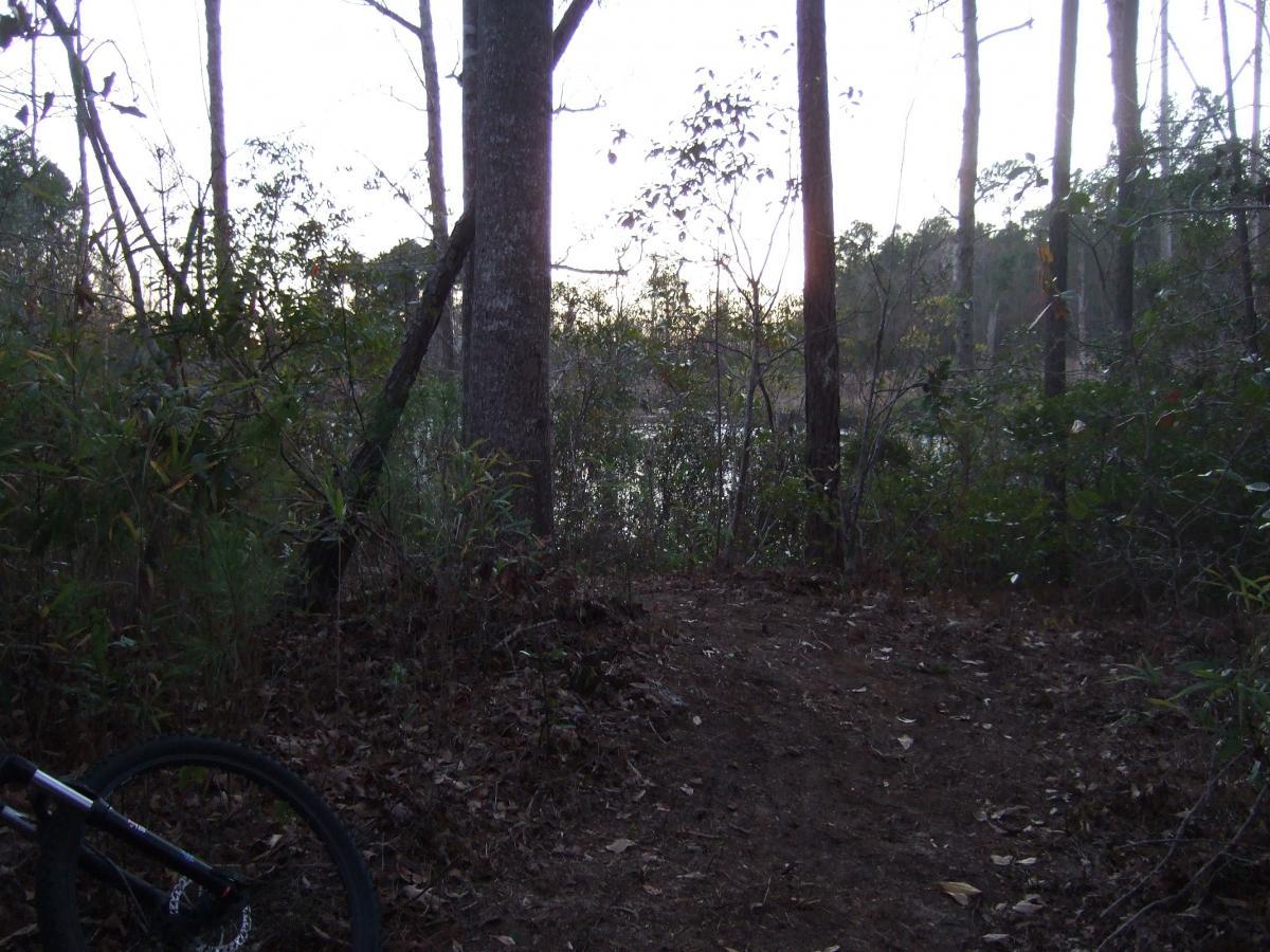 A wooded area at dusk, featuring tall trees and dense underbrush. In the background, a calm body of water is visible, reflecting the fading light. A mountain bike is partially visible in the lower-left corner, suggesting a trail or pathway through the forest. Brunswick Nature Park mountain bike trail.