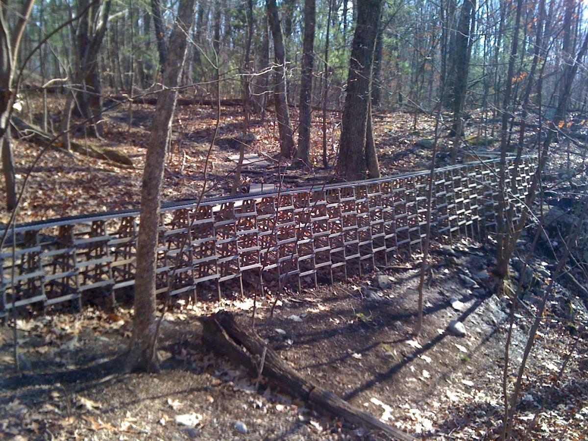 A metal grating structure spans across a forested area, surrounded by bare trees and scattered leaves on the ground. The grating is raised slightly above the ground and extends into the distance, providing a pathway or barrier in the natural setting. Sunlight filters through the branches, casting shadows on the forest floor. Needham Town Forest mountain bike trail.