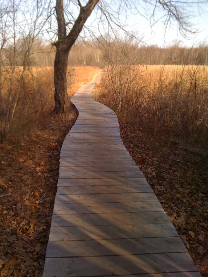 A winding wooden boardwalk pathway through a field, bordered by dry grasses and trees, under a clear sky. The scene conveys a sense of tranquility and connection with nature. Cutler Park mountain bike trail.