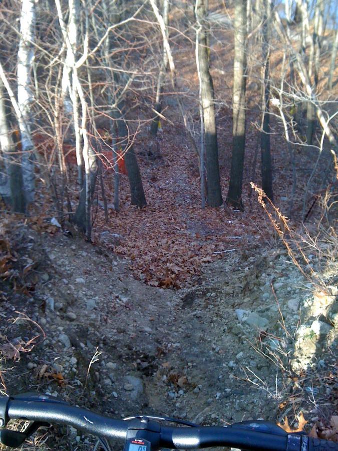 A forested mountain bike trail featuring a steep descent surrounded by bare trees and fallen leaves. The image shows the handlebars of a bike in the foreground with a rugged path leading downhill. Cutler Park mountain bike trail.