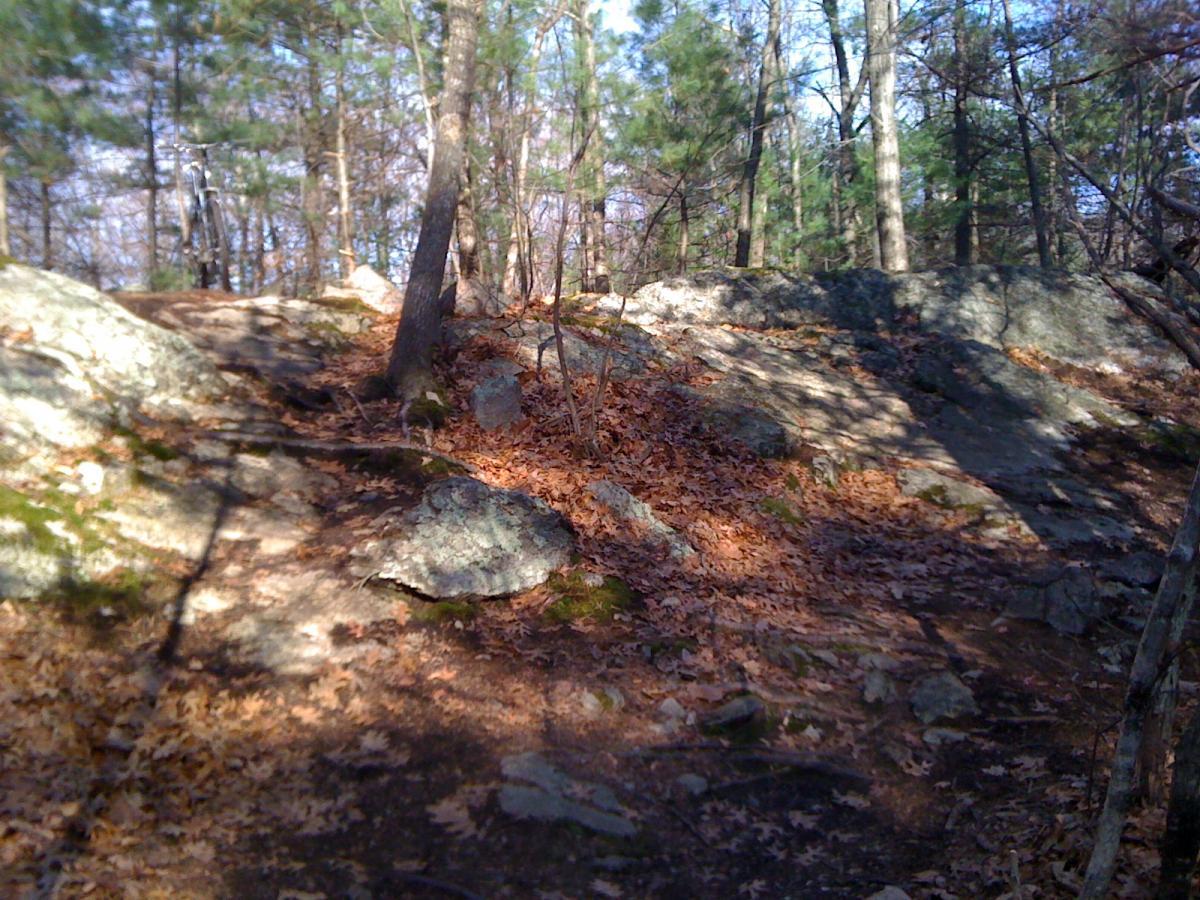 A scenic view of a rocky trail surrounded by trees, with leaves scattered on the ground, indicating a natural outdoor setting. The pathway leads up a slope, showcasing earthy tones and textures. Needham Town Forest mountain bike trail.