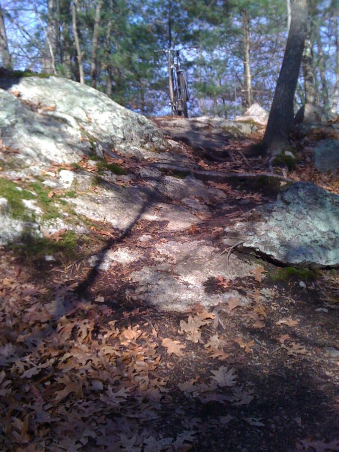 Alt text: A mountain bike parked on a rocky, leaf-covered trail surrounded by trees. The path is steep and rugged, with large stones and fallen leaves scattered throughout the area. Needham Town Forest mountain bike trail.