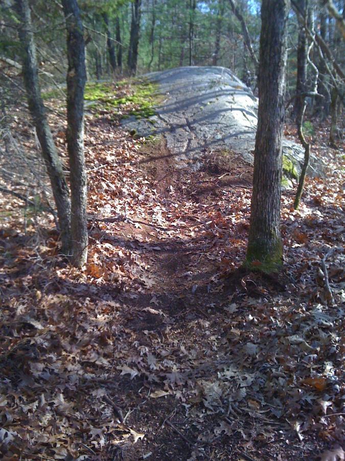 A winding dirt path leads through a wooded area, bordered by trees on either side. The path is lined with fallen leaves and leads toward a large, moss-covered rock formation in the background. The scene captures the tranquility of nature with dappled sunlight filtering through the branches above. Needham Town Forest mountain bike trail.