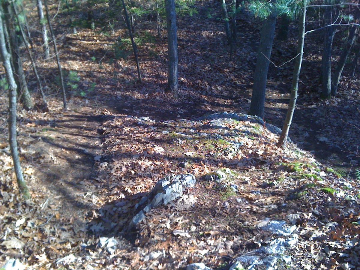 A wooded area with a winding dirt path covered in fallen leaves, flanked by trees. The path leads toward a rocky outcrop on the left, while the right side features more trees and a darker pathway disappearing into the forest. The scene is set in autumn, showcasing a mix of earthy tones and soft shadows. Needham Town Forest mountain bike trail.
