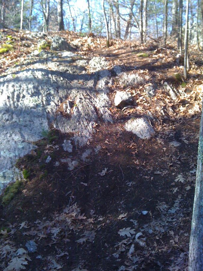A rocky hillside covered with fallen leaves, surrounded by trees in an outdoor setting. The sun casts soft shadows on the uneven terrain, highlighting the texture of the rocks and the forest floor. Needham Town Forest mountain bike trail.