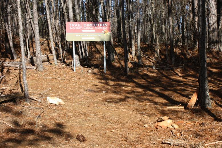 A dirt trail leading into a wooded area, marked by a large sign indicating "Trail Direction" with operational hours listed. The ground is covered with pine needles and scattered logs, with trees rising on either side of the path, suggesting a natural hiking environment. North Cooper Lake Park Trail mountain bike trail.