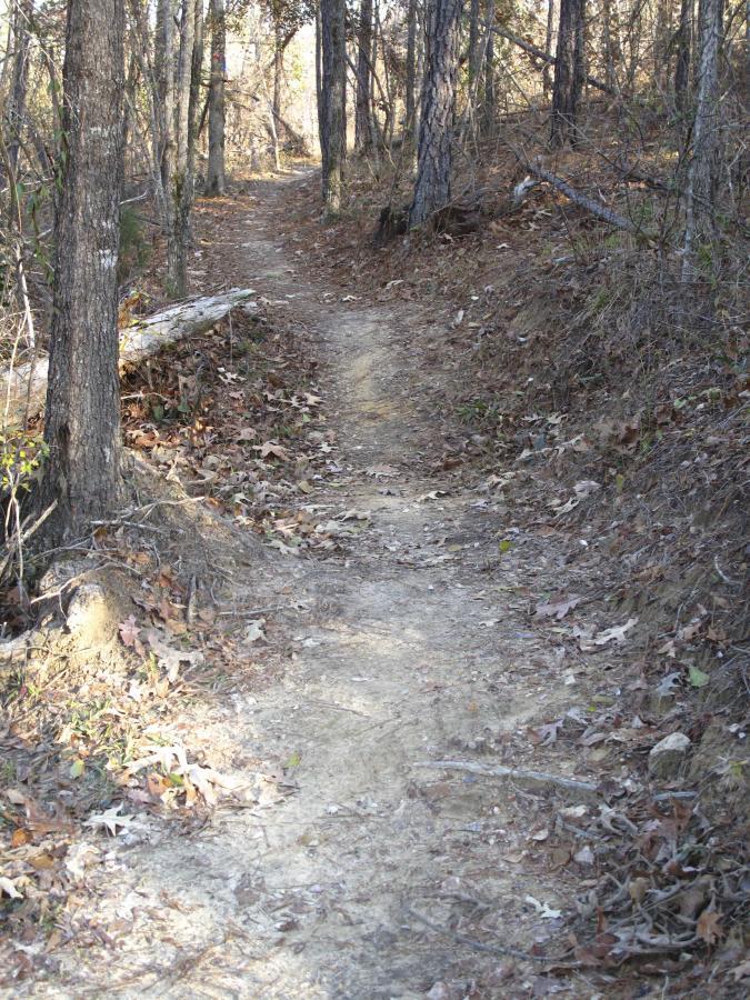 A dirt path winding through a wooded area, surrounded by trees and scattered fallen leaves. The sunlight filters through the branches, illuminating the trail ahead. Arrowhead Park mountain bike trail.