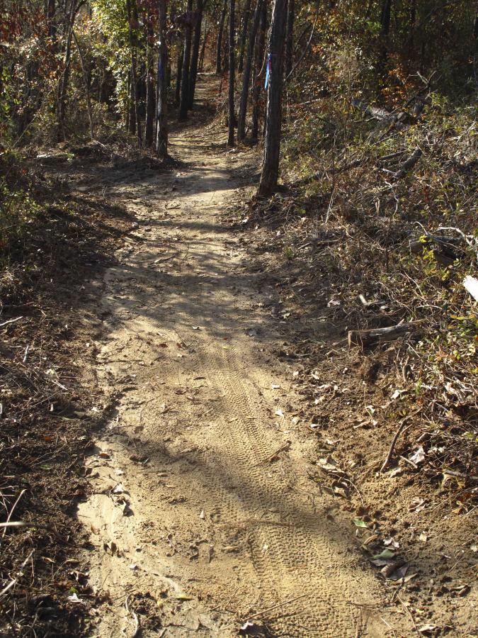 A narrow dirt path winding through a forested area lined with trees, showing signs of foot and vehicle traffic. The ground is mostly bare with some fallen leaves, and hints of green foliage in the background. A few colorful markers can be seen tied to the trees. Arrowhead Park mountain bike trail.