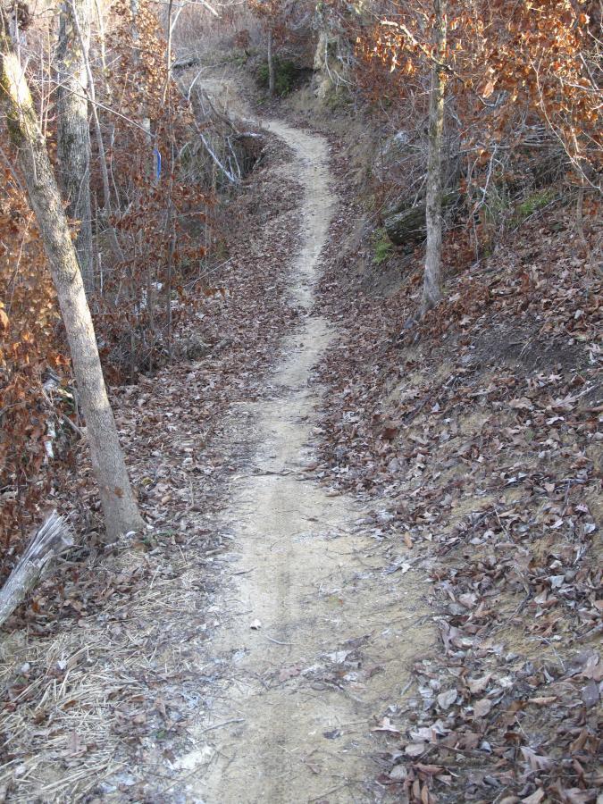 A narrow dirt trail winding through a forest, surrounded by trees and scattered fallen leaves, with a gentle slope visible on one side. The scene is set in a tranquil, natural environment, suggesting an inviting path for hiking or walking. Arrowhead Park mountain bike trail.