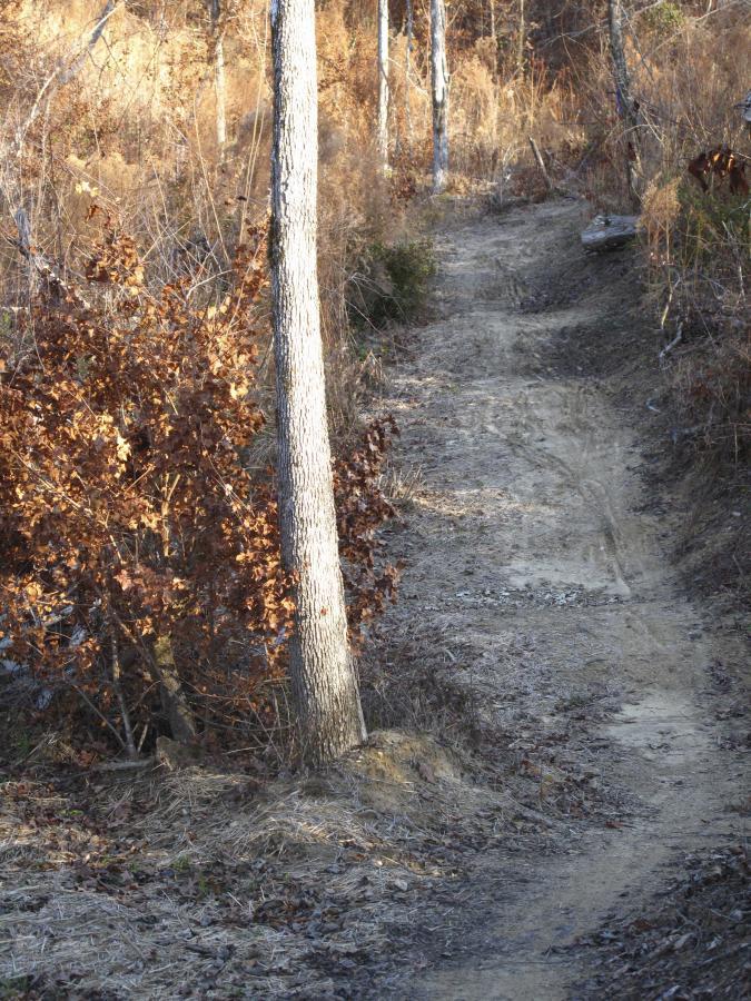 A narrow dirt path winding through a wooded area, with bare trees and patches of brush on either side. The ground is dry and the foliage is mostly brown, indicating a late autumn or early winter season. Sunlight casts a warm glow on the scene. Arrowhead Park mountain bike trail.