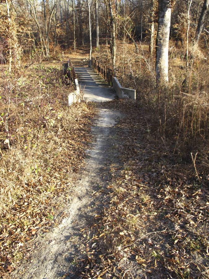 A narrow dirt pathway covered with fallen leaves leads to a small wooden bridge, surrounded by trees in a forested area during autumn. The scene captures the tranquility of nature, with dry vegetation and sunlight filtering through the branches. Arrowhead Park mountain bike trail.
