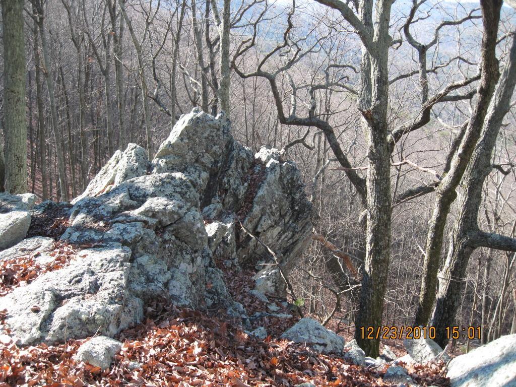 A rocky outcrop with scattered autumn leaves in the foreground, surrounded by bare trees in a mountainous landscape, under clear skies. The image captures a serene natural setting, showcasing the textures of the rocks and the branches of the trees. Pine Log WMA mountain bike trail.