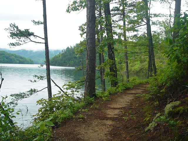 A peaceful lakeside trail surrounded by tall trees and lush green foliage, with a serene body of water visible in the background. The path is slightly winding, inviting visitors to explore the natural landscape. Overcast skies create a calm atmosphere. Tsali Left Loop mountain bike trail.