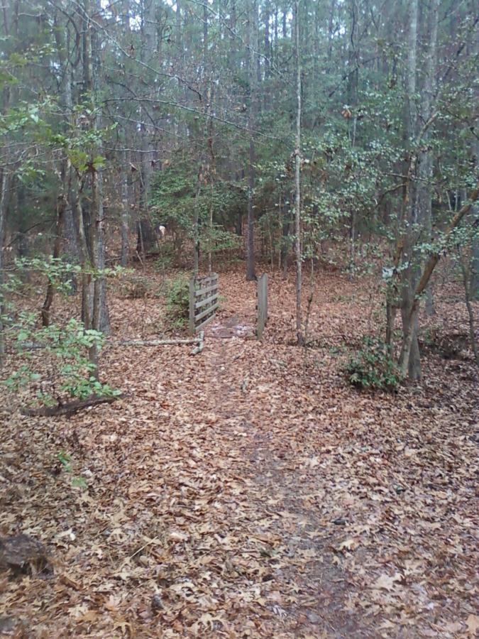 A wooded path covered with fallen leaves, leading to a small wooden fence at the entrance of a dense forest. Surrounding trees are partially bare, suggesting early autumn or late fall. Beaver Dam mountain bike trail.