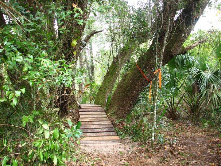 A wooden boardwalk leads through a lush, green forest with tall trees and dense foliage. The path is flanked by various plants, and vibrant orange ribbons are tied around some branches, indicating a trail or boundary. Sunlight filters through the leaves, creating a serene, natural atmosphere. Chuck Lennon Park mountain bike trail.
