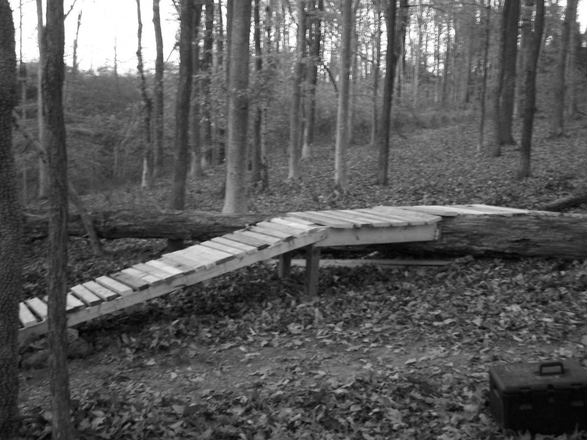 A wooden bridge made of planks spans over a fallen tree in a forest setting, surrounded by leafy ground cover and tall trees. The image is in black and white, capturing the tranquil, rustic atmosphere of the woodland. Rotary Park mountain bike trail.