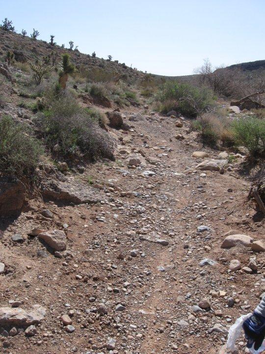 A rocky dirt trail winding through arid landscape, surrounded by sparse vegetation and low shrubs under a clear blue sky. The trail is uneven, with various sizes of stones scattered along the path, leading toward a gently rising terrain in the background. Blue Diamond mountain bike trail.