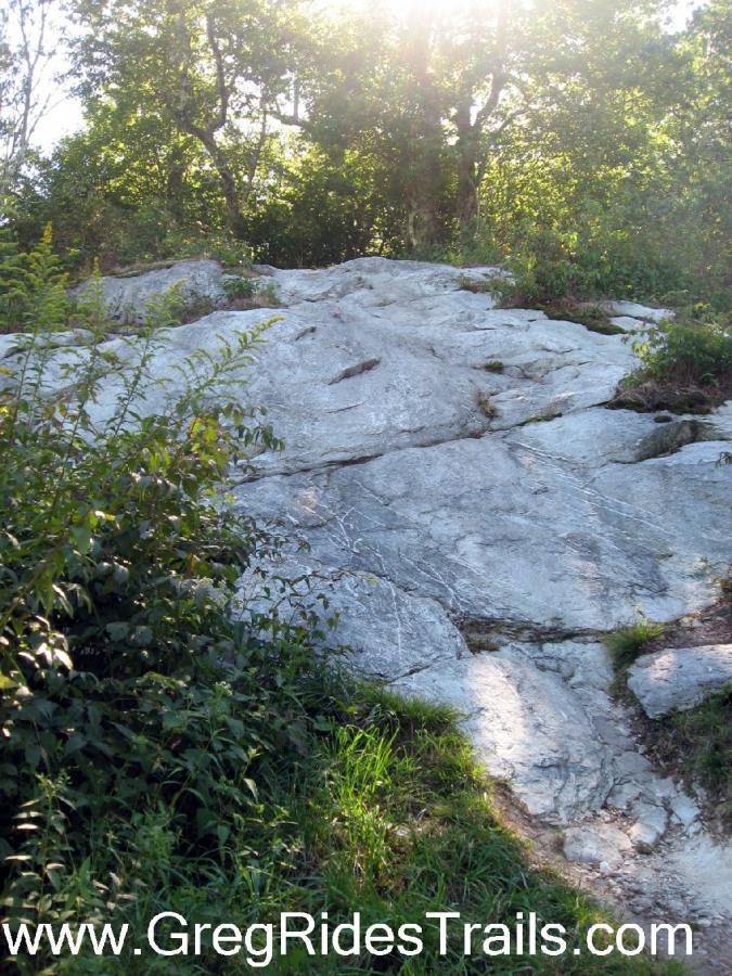 Rocky terrain with sunlight filtering through trees, surrounded by greenery. The surface features smooth rock and patches of grass and bushes. Sugar Mountain Resort mountain bike trail.