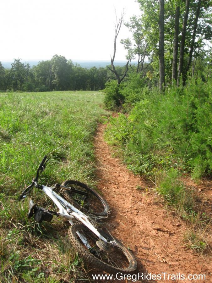 A mountain bike lies on its side along a dirt trail surrounded by green grass and trees. The path leads into the distance, with light fog or mist visible over the horizon. Jones Creek Ridge Trail mountain bike trail.
