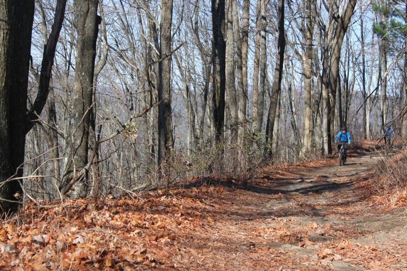 A scenic trail surrounded by bare trees in a wooded area, with a hiker wearing a blue jacket walking along a path covered with fallen leaves. The landscape is peaceful and natural, suggesting a serene outdoor experience. Pinhoti: Tatum Lead mountain bike trail.