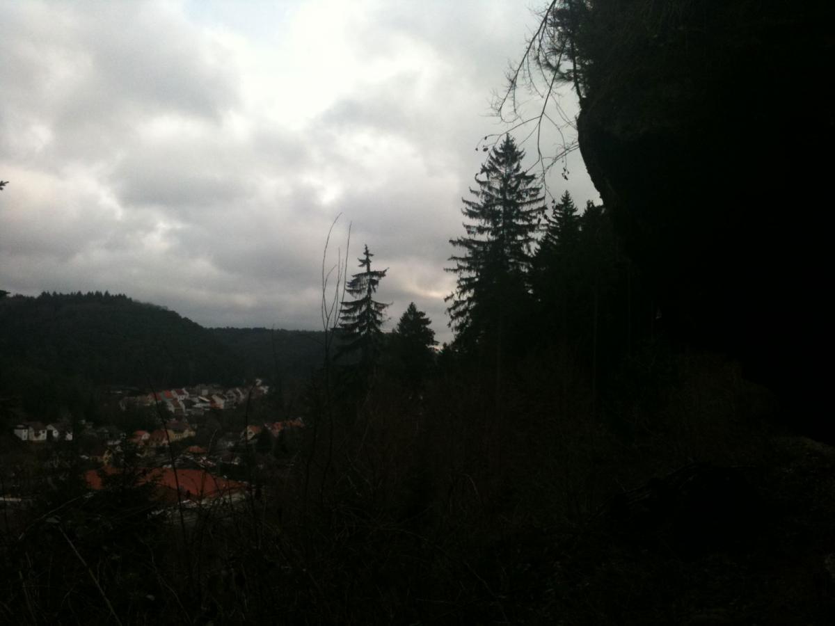 A view of a forested area with tall trees silhouetted against a cloudy sky, overlooking a small town nestled in a valley. The scene captures a sense of tranquility and nature. Rodalben F Trail mountain bike trail.