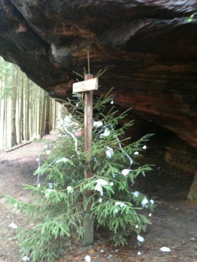 A small evergreen tree decorated with white cotton and blue ribbons stands next to a wooden sign beneath a large rocky overhang. In the background, a forest of tall trees is visible. The scene appears peaceful and natural, with a mix of greenery and rocky textures. Rodalben F Trail mountain bike trail.