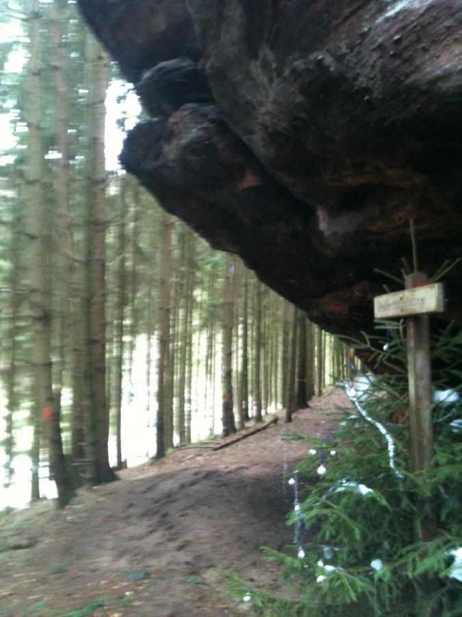A forest scene featuring tall, slender trees with a rocky overhang on the left side. A wooden sign is visible, partially obscured, indicating direction. The ground is covered in a mix of dirt and pine needles, and there are some green shrubs nearby, suggesting a natural, serene environment. Rodalben F Trail mountain bike trail.