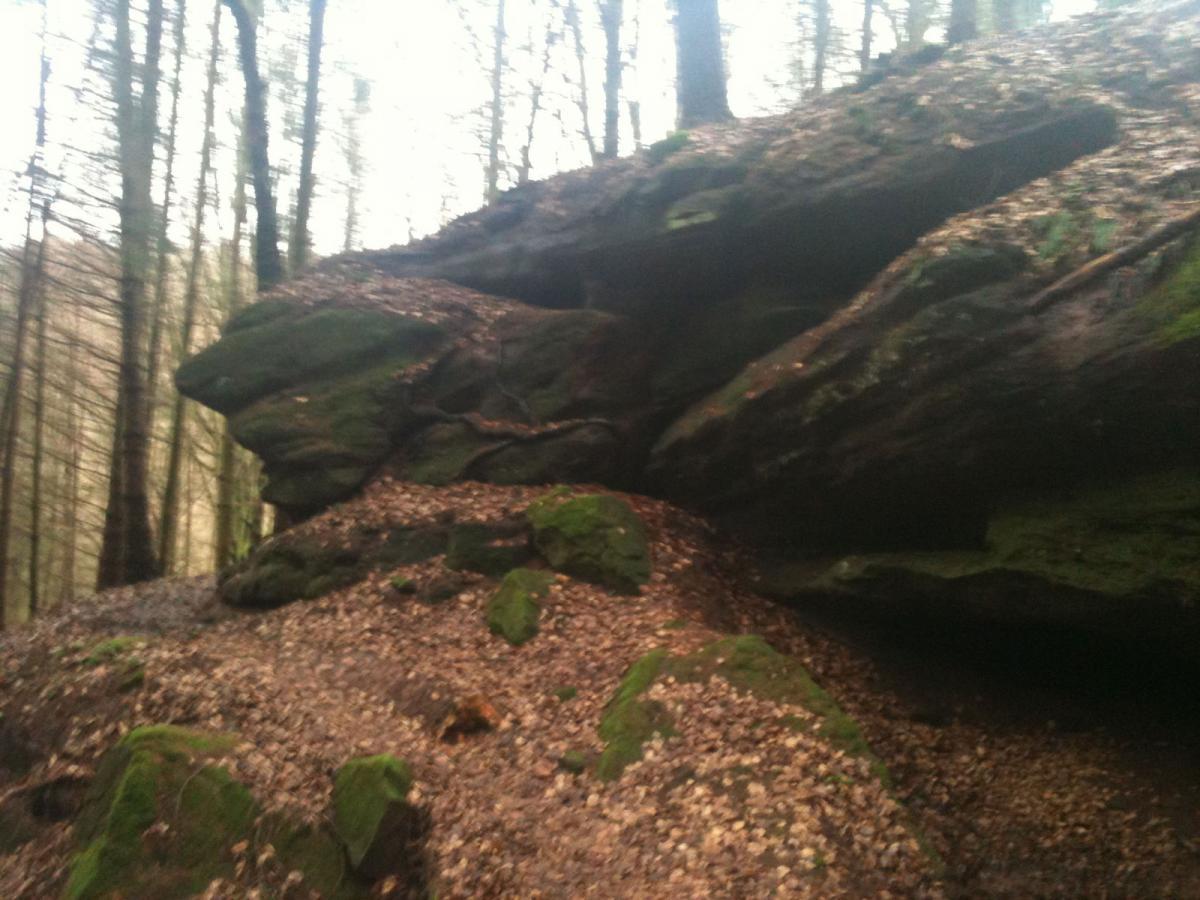 A large moss-covered rock formation surrounded by a forest of tall trees, with a layer of fallen leaves on the ground. The atmosphere appears misty and tranquil, suggesting a serene natural environment. Rodalben F Trail mountain bike trail.