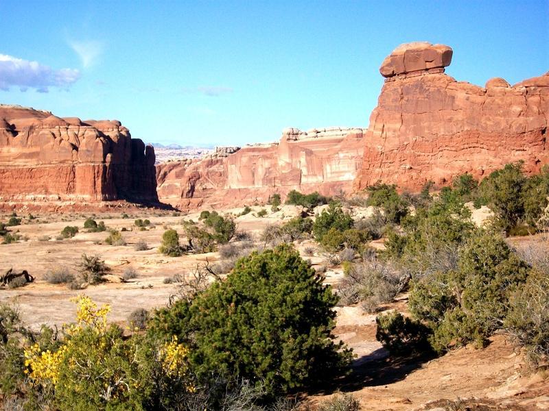 A desert landscape featuring red rock formations and shrubs under a clear blue sky. A prominent rock formation, shaped like a mushroom, towers in the background, surrounded by steep cliffs and sandy terrain. The scene conveys the rugged beauty of a natural environment, likely in a national park. Monitor &amp; Merrimac/Courthouse Pasture mountain bike trail.