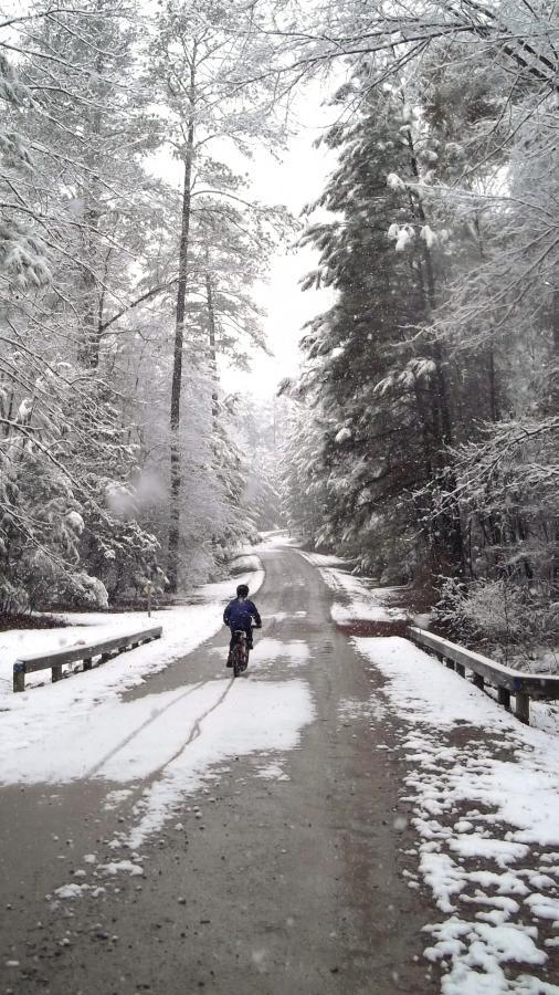 A person riding a bicycle down a snow-covered road surrounded by trees blanketed in snow. Flakes fall gently around them, creating a serene winter landscape. Harbison State Forest mountain bike trail.