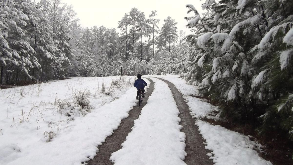 A child rides a bicycle along a snowy, winding dirt path surrounded by tall, snow-covered trees. The scene captures a quiet, winter landscape with a light snowfall, creating a peaceful and serene atmosphere. Harbison State Forest mountain bike trail.