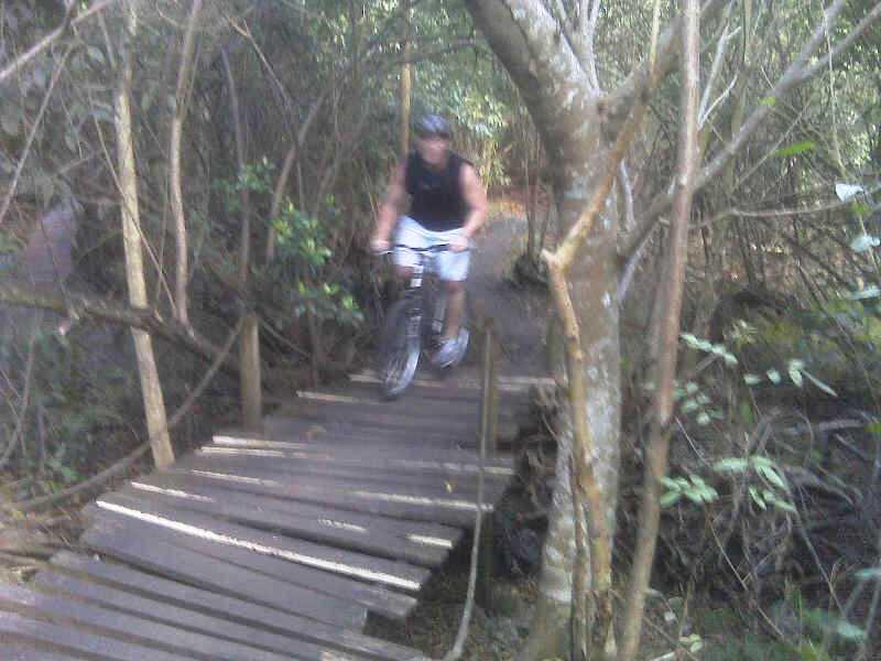 A person riding a mountain bike on a narrow wooden bridge surrounded by dense greenery and trees. The image depicts an outdoor trail, suggesting an adventurous biking experience through a forested area. Markham Park mountain bike trail.