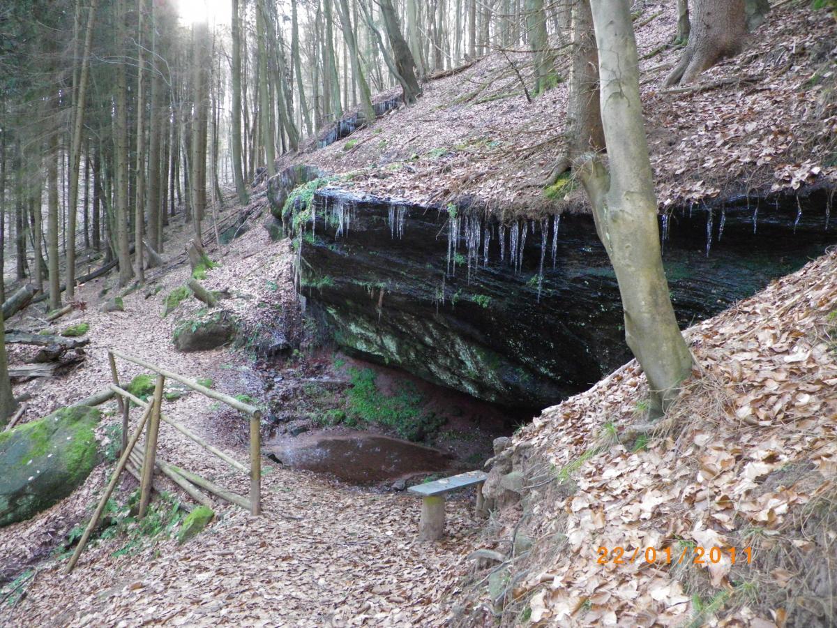 A serene forest scene featuring a rocky overhang with icicles, surrounded by tall trees and fallen leaves on the ground. A small stream is visible at the base of the overhang, and a wooden fence leads into the pathway. The atmosphere is calm and natural, evoking a sense of tranquility in a wooded area. Rodalben F Trail mountain bike trail.