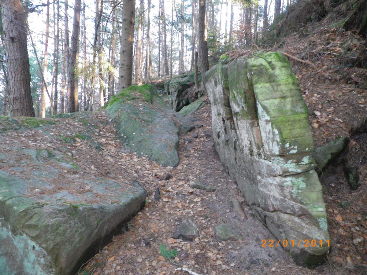 A rocky pathway in a forest with moss-covered stones, surrounded by tall trees and fallen leaves on the ground. Rodalben F Trail mountain bike trail.