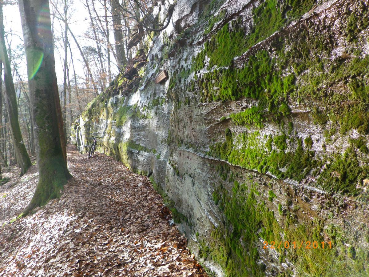 A scenic view of a moss-covered rock wall in a wooded area, with a dirt path lined by fallen leaves. A bicycle is leaning against the rocky surface, and sunlight filters through the trees, creating a serene atmosphere. Rodalben F Trail mountain bike trail.