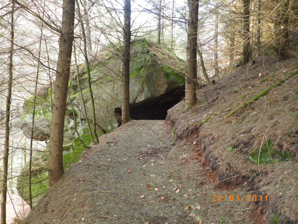 A pathway winding through a wooded area, leading toward a rock formation that resembles a cave entrance. The surrounding trees are bare, with patches of green moss visible on the rocks and ground. Pine needles and leaves cover the trail, creating a natural, serene atmosphere. Rodalben F Trail mountain bike trail.