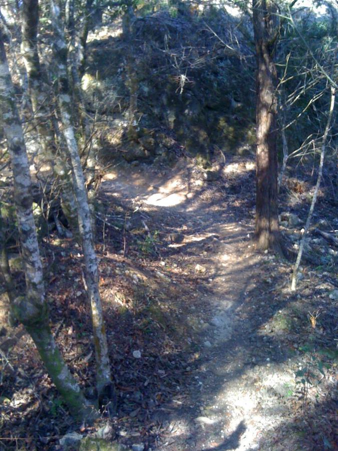 A winding dirt path through a wooded area, surrounded by trees and rocky terrain. Sunlight filters through the leaves, casting shadows on the trail, which is lined with fallen leaves and scattered rocks. Santos mountain bike trail.