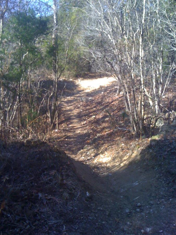 A narrow dirt path winding through a forest with sparse trees and underbrush, leading into the distance under a clear blue sky. The ground is uneven with patches of sunlight illuminating the trail. John Brown mountain bike trail.