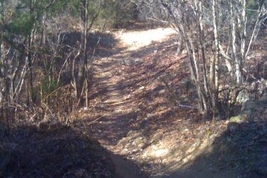 A winding dirt path through a wooded area, surrounded by sparse trees and dry foliage. Sunlight filters through the branches, illuminating the trail. Santos mountain bike trail.