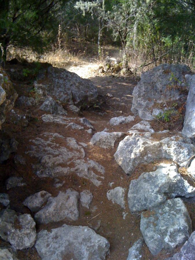 A rocky pathway leading through a wooded area, flanked by large stones and surrounded by sparse vegetation, with sunlight filtering through the trees in the background. Santos mountain bike trail.