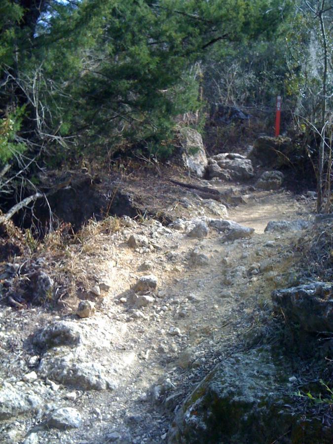 A narrow, rocky hiking trail winding through a forested area with trees and sparse vegetation on either side. The path is uneven, featuring scattered rocks and dirt, with a red trail marker visible in the background. Santos mountain bike trail.
