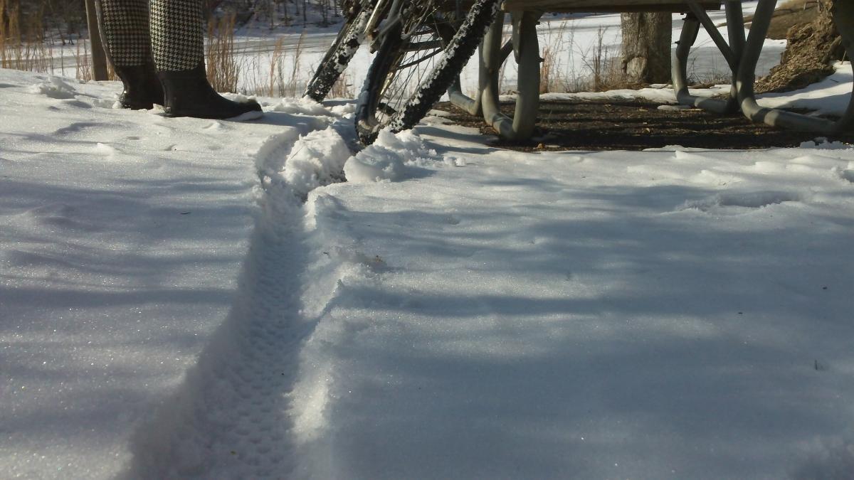 A close-up view of tire tracks in a snowy landscape, showcasing a bicycle parked near a picnic table. Snow-covered ground with faint footprints and a backdrop of trees. Natural sunlight casts soft shadows across the snow. Carvin's Cove Trail system mountain bike trail.
