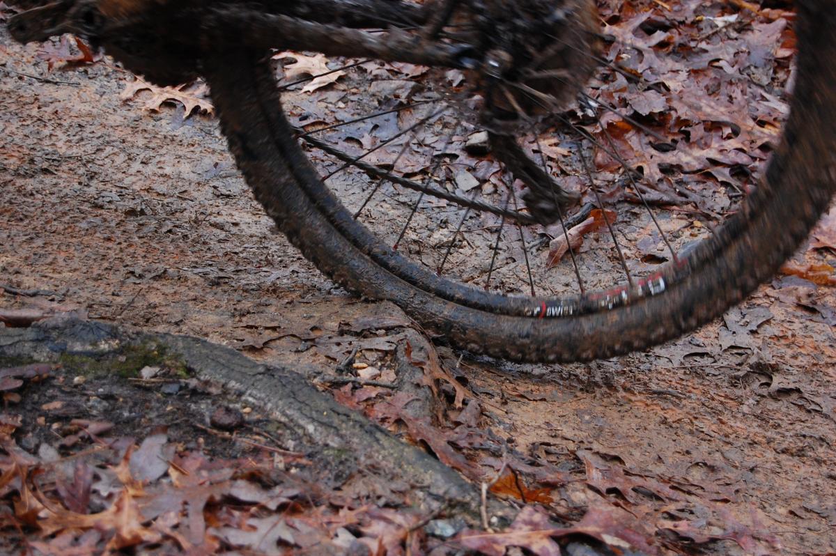 A close-up of a muddy bicycle tire in motion on a dirt trail covered with fallen leaves. The background shows a muddy path along with wet soil and additional leaf debris, suggesting a rainy or damp environment. Country Park mountain bike trail.