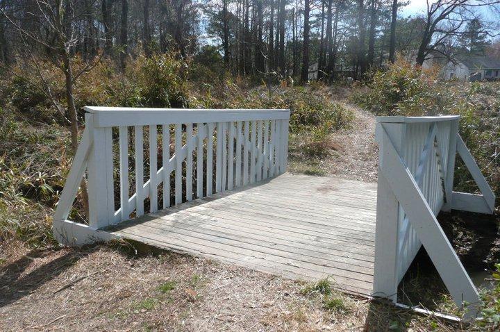 A small wooden bridge with white railings spans a grassy area, leading into a wooded path. Sunlight filters through the trees in the background, highlighting the natural surroundings. Indian River Park mountain bike trail.